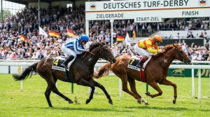 Vergleich zwischen Platzwette und Siegwette bei Pferderennen